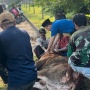 Bagi Ribuan Paket Daging, Ini Alasan Crazy Rich Cilegon Sembelih Sendiri Hewan Kurbannya