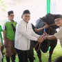Peringati Hari Raya Iduladha 1445 H, Pegadaian Salurkan 822 Ekor Hewan Kurban untuk Masyarakat