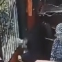 Tragis! Bocah di Cipulir Jaksel Matanya Digigit Anjing saat Diajak Neneknya Lihat Hewan Kurban