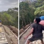 Viral Ratusan Ekor Ayam Mati Dibuang ke Jurang Luwu Timur, Ini Penyebabnya