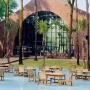 Nimo Water Forest, Rasakan Sensasi Berenang Layaknya di Tengah Hutan