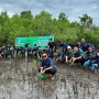 Peringati Hari Lingkungan Hidup Sedunia, PLN Tanam 3.000 Mangrove di Pesisir Sulawesi Utara