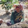 Heboh Makam Wanita Dibongkar dan Tali Pocongnya Dicuri, Netizen Bingung: Kebanyakan Nonton Sinetron!