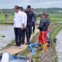300 Pompa Dibagikan di Kabupaten Bone Sulsel, Petani Laporkan kepada Presiden RI: Bisa 3 Kali Panen