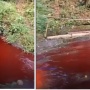 Masih Misteri, Air Sungai di Malang Tiba-tiba Berubah Warna Jadi Merah
