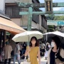 Panas Ekstrem di Jepang Bikin WNI Kewalahan, Tak Bisa Ngapa-ngapain: Rasanya Mau Meleleh!