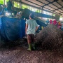PLN Kolaborasi dengan Pemda Banyumas Manfaatkan Sampah untuk Co-firing PLTU
