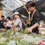 Menghabiskan Akhir Pekan di Pameran FLONA 2024