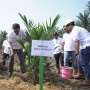 PTPN IV Regional I Realisasikan 744,93 Ha Lahan Peremajaan Sawit Rakyat Sampai Dengan Juli 2024
