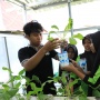 Peringati Hari Anak Nasional, Ini Cara Unik BRI Ajak Anak SD Belajar Tanam Hidroponik