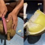Heboh Durian Tanpa Duri di Thailand, Cara Membelahnya Jadi Super Effortless