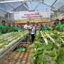 Bank DKI Resmikan Kebun Hidroponik di RPTRA Cibubur