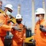Akselerasi Transisi Energi, PLN Indonesia Power Dirikan Tempat Produksi Biomassa di Kota Medan