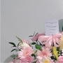 Putri Ariani Pilih Jadi Mahasiswi UGM setelah Bermimpi ke The Juilliard School, Biaya Kuliah Bak Bumi dan Langit