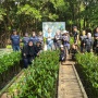 Peringati Hari Mangrove Sedunia, PNM Peduli Tanam 50.000 Pohon Mangrove untuk Tekan Bencana di Pesisir