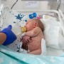 Putus Cinta, Seorang Ibu Muda Nekat Membuang Bayi yang Baru Dilahirkannya di Sarang Semut