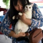 Studi: Usia Harapan Hidup Kucing dan Anjing di Indonesia Tak Sampai 6 Tahun, Kenapa?