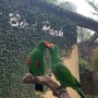 Serunya Bermain dan Berkenalan dengan Koleksi Unggas di Bali Bird Park