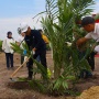 Target 60.000 Ha Peremajaan, Begini Cara PalmCo Gandeng Semua Petani Sawit Indonesia