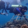 Kisah Para Penjaga Surga Bawah Laut di Pulau Bunaken: Konservasi dan Tantangan Eksploitasi