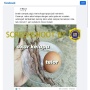 Cek Fakta: Akar Kelapa dan Kuning Telur Bisa Meningkatkan Stamina Seks Pria, Benarkah?
