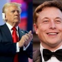Elon Musk Siap Jabat Posisi Penting Jika Trump Menang Pilpres, Apa Itu?