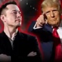 Elon Musk Serukan Penghapusan Lembaga Pemerintah AS di Bawah Kepemimpinan Trump