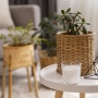 Furnitur Masa Depan: Ketika Desain, Material, dan Keberlanjutan Bertemu