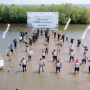 Pertamina Trans Kontinental Tanam 5.500 bibit Mangrove dan Resmikan Rumah Pembibitan