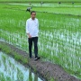 Arti Nama Mulyono dalam Bahasa Jawa, Nama Masa Kecil Jokowi yang Trending di X