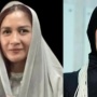 Profesi Mentereng Dian Rahmaniar, Adik Ahmad Dhani yang Tak Kalah Cantik dari Mulan Jameela