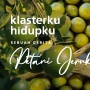 Perjalanan Desa Jeruk Semboro di Klasterku Hidupku, Awal Diremehkan hingga Hasil Luar Biasa