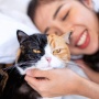 Catlovers & Doglovers Wajib Tahu: Tips Tidur Sehat Dengan Hewan Peliharaan Kesayangan