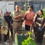 Kolaborasi Kampus dan Petani: Gerakan Nasional Budidaya Anggur di Yogyakarta