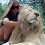 Viral! Kedekatan Penjaga Kebun Binatang dengan Singa Putih Langka Picu Perdebatan di Media Sosial