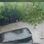 Dua Wisatawan Tiongkok Tewas di Malaysia usai Kendaraan Tertimpa Pohon Tumbang