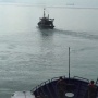 Gempur Illegal Fishing! KKP Tangkap 133 Kapal Pencuri Ikan di Laut Indonesia