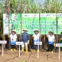 Petrokimia Gresik Berhasil Jalankan Program Makmur dengan Tingkatkan Produktivitas dan Pendapatan Petani