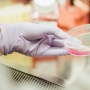 Semax: A Multifunctional Peptide and Its Potential Implications in Research
