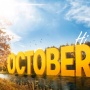 Tanggal 11 Oktober Diperingati Sebagai Hari Apa?