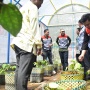 Pertamina Patra Niaga SHAFTHI Luncurkan Greenhouse Sirih, Solusi Inovatif untuk Produksi Daun Sirih di Mekarsari