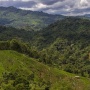 Jual Beli Hutan Lindung Luwu Timur Dibongkar, Pelaku Terancam Denda Rp7,5 Miliar