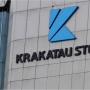Krakatau Steel Jaminkan Aset Senilai Rp 13,94 Triliun ke Danantara