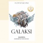 Novel Galaksi: Kisah Cinta, Persahabatan, dan Perjuangan Hidup Remaja