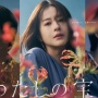 Sinopsis Watashi no Takaramono, Drama Jepang Dibintangi Wakana Matsumoto