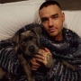 Kronologi Liam Payne Tewas di Argentina: Aksi Agresif dan Masa Kritis Jelang Ajal Terungkap