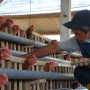 Dukung Pencegahan Stunting, PLN Berdayakan Peternak Ayam Petelur di Kabupaten Malang
