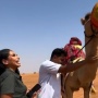 Viral Layanan 'Uber Unta' di Dubai Bikin Heboh Netizen, Benar atau Settingan?