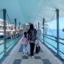 ASDP Lakukan Penyesuaian Tarif di 22 Lintasan Penyeberangan Mulai 1 November