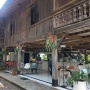 Rekomendasi Kafe di Bogor agar Lebih Mindfulness, Estetik di Kolong Rumah Jadul Manado